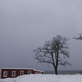 upnorth february 2011